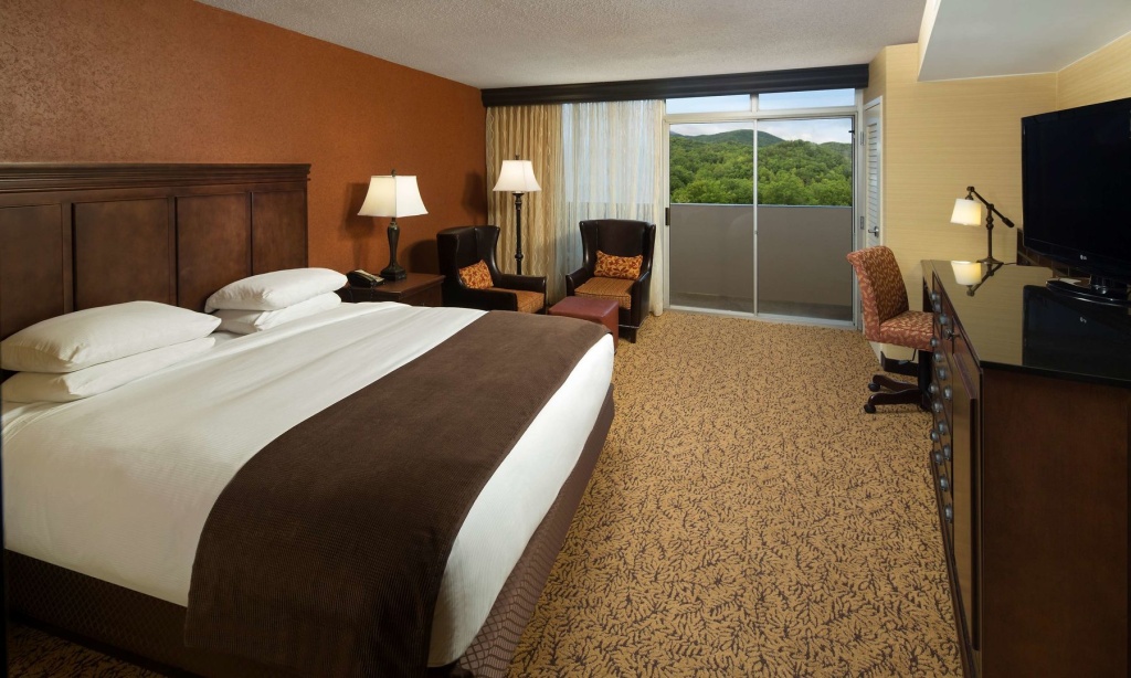 The Park Vista - a DoubleTree by Hilton Hotel - Gatlinburg - Général