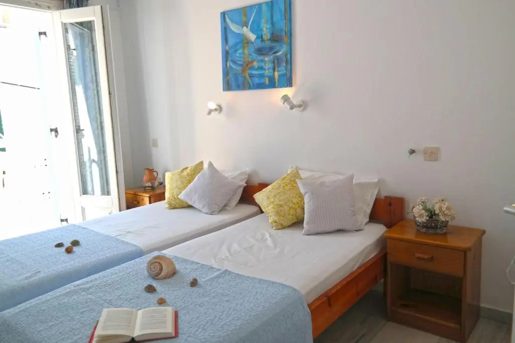 Standard Double room (twin beds)