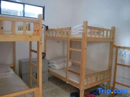 Bed in Dorm