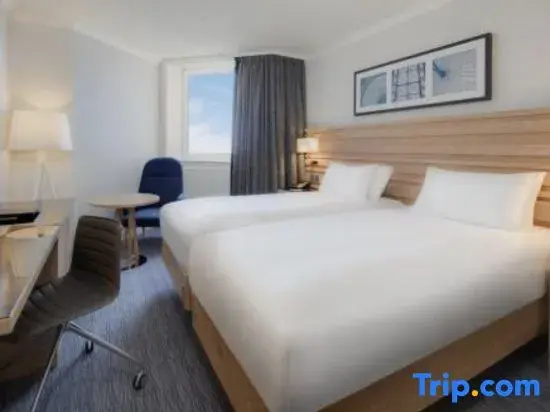 Executive Double room (twin beds)