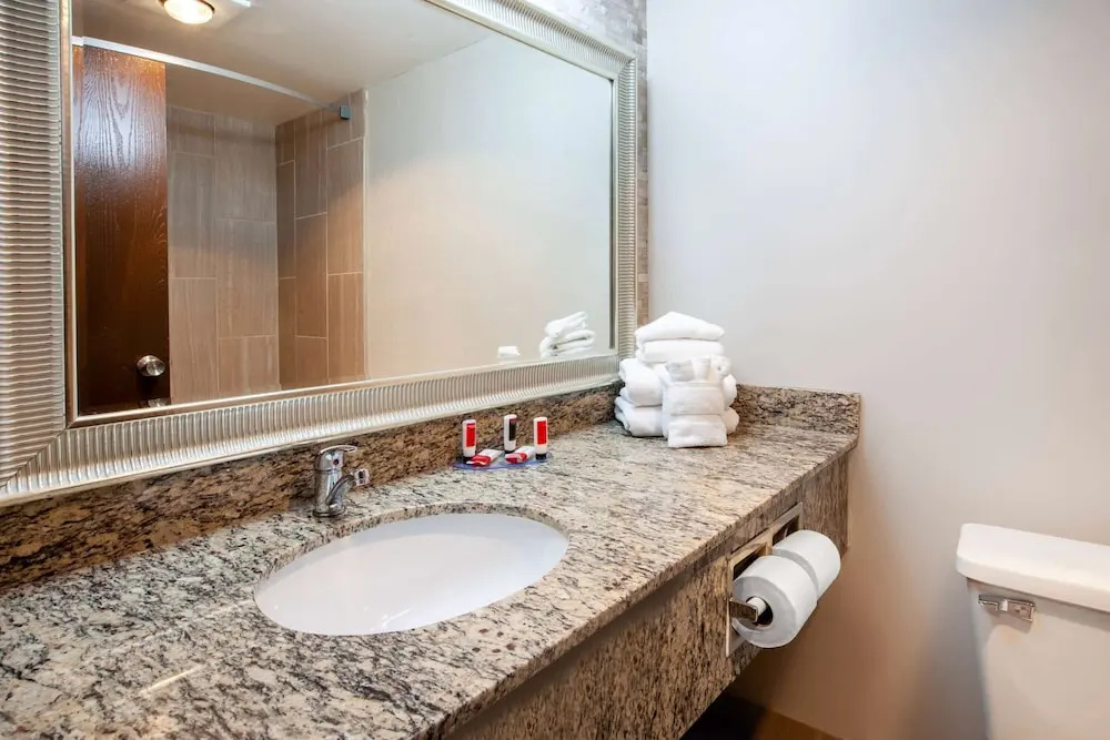 Wingate by Wyndham Detroit Metro Airport - Chambres