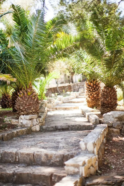 Hotel Odisej picture