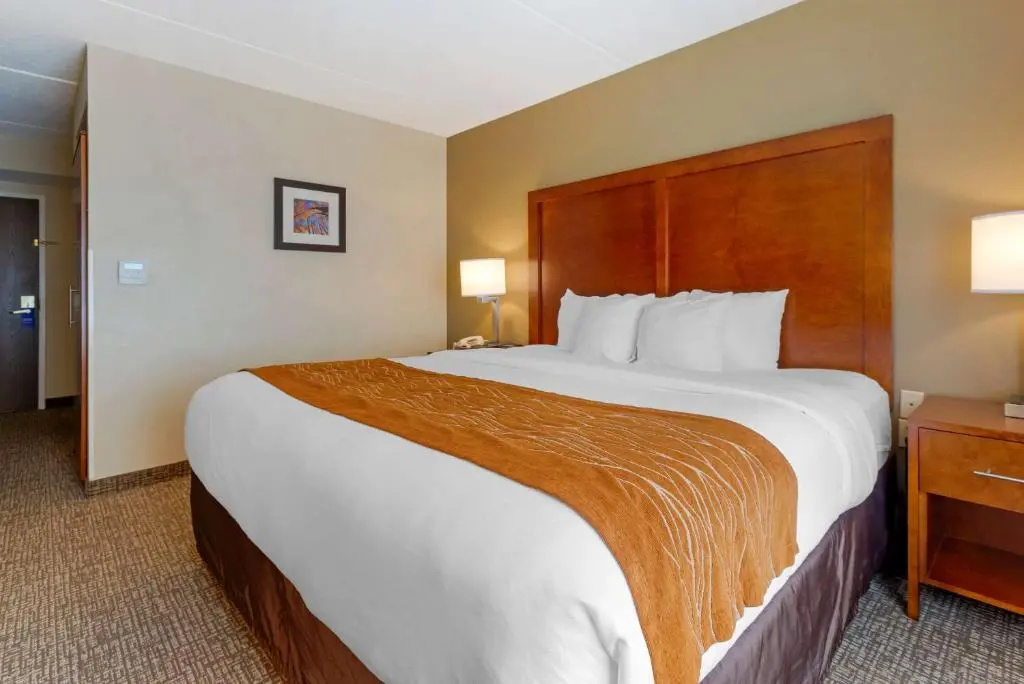 Comfort Inn & Suites Wilkes Barre - Arena - Chambres
