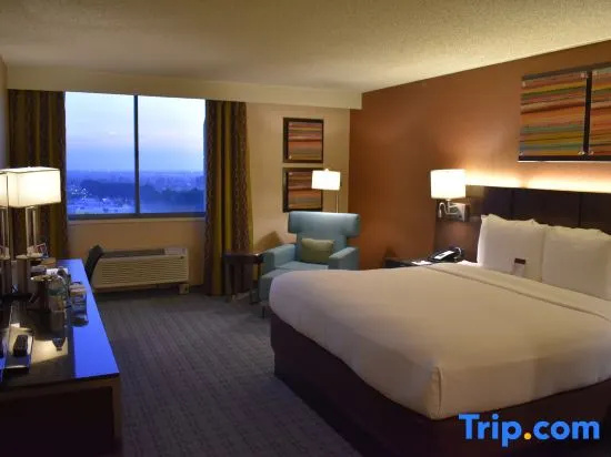 Standard room with pool view