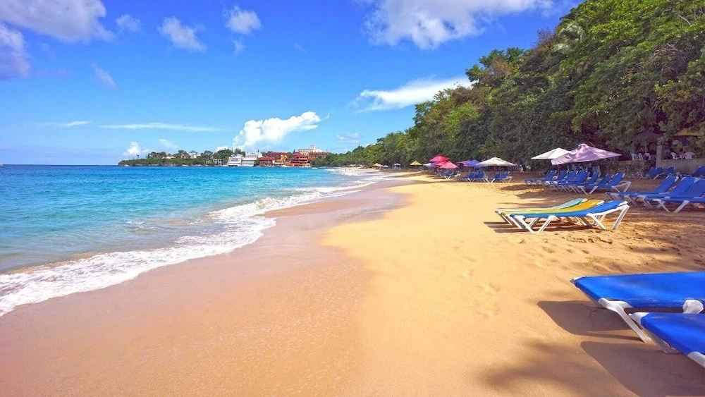 Beach & Waterfront