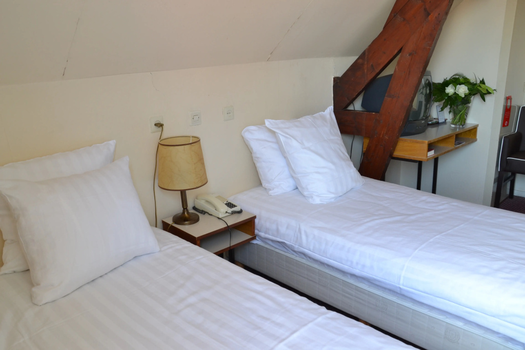 Fletcher Hotel - Restaurant De Zalm - Général