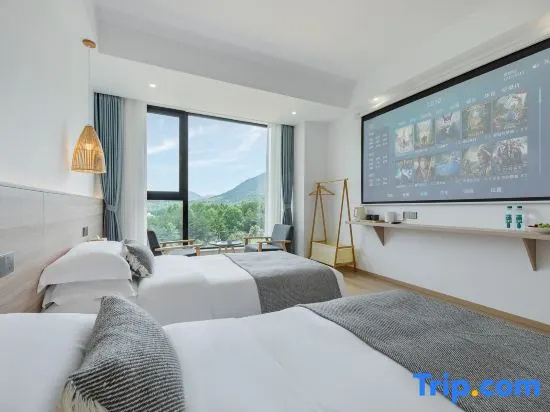 Standard Double room with mountain view (twin beds)