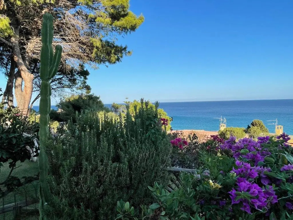 Casa Pinus