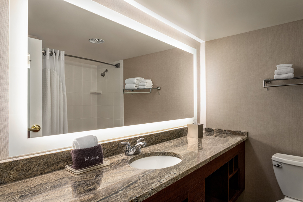 Holiday Inn Saratoga Springs by IHG - Général