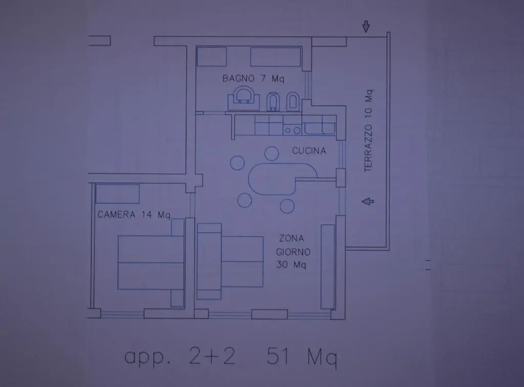 Basement Apartment