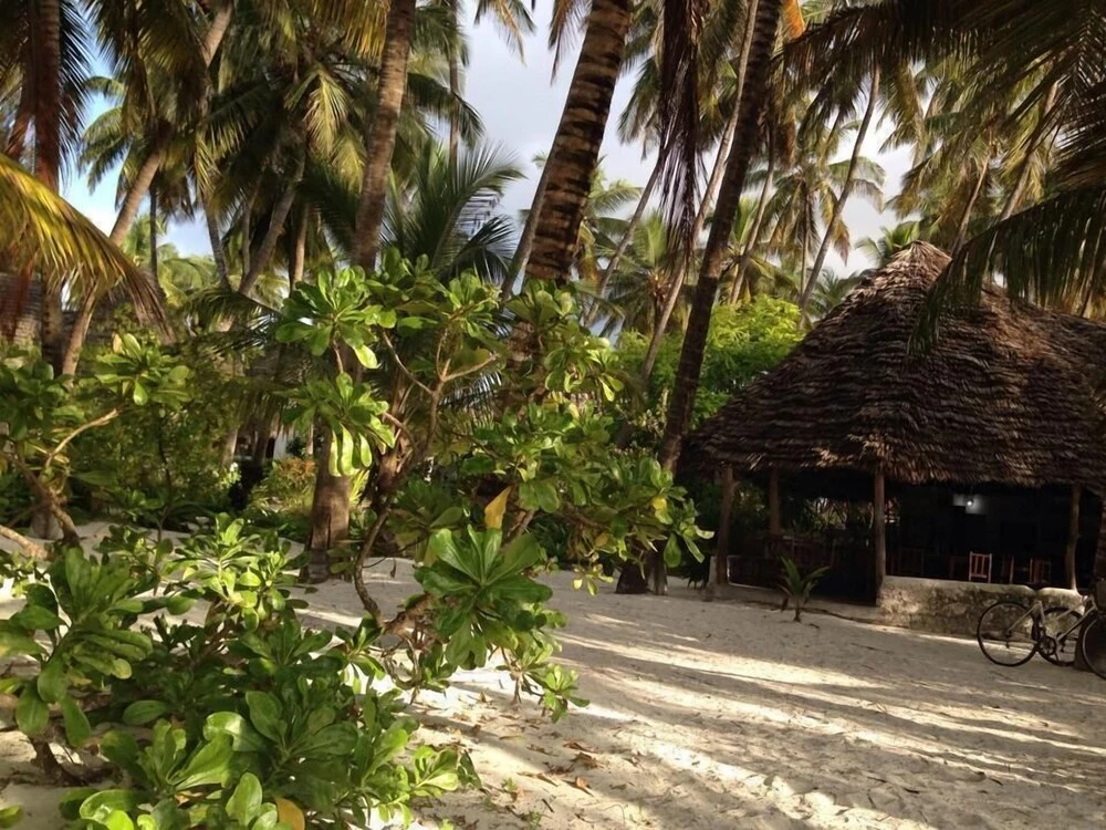 Pakacha Bungalows