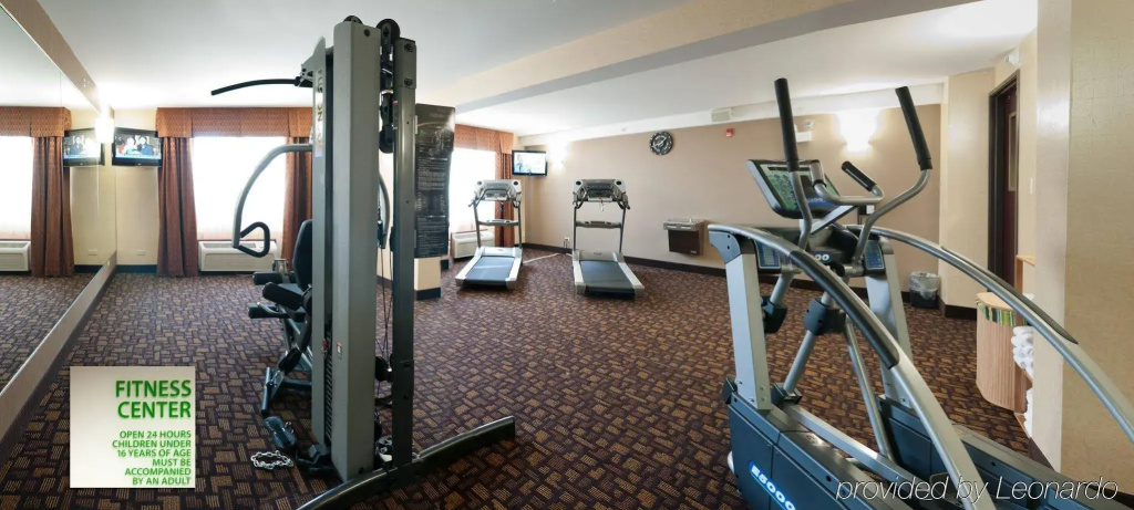Holiday Inn Mt. Prospect Chicago - Général