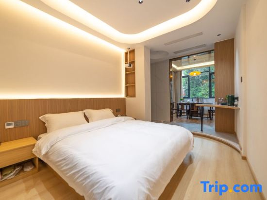 Standard Double room with city view (full double bed)