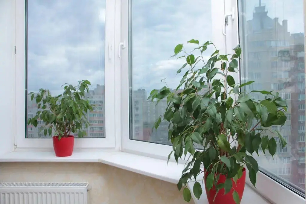 Osokorky Apartments