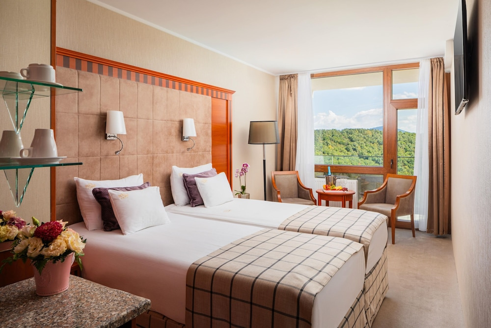 Standard Double room with balcony and with river view (full double bed)