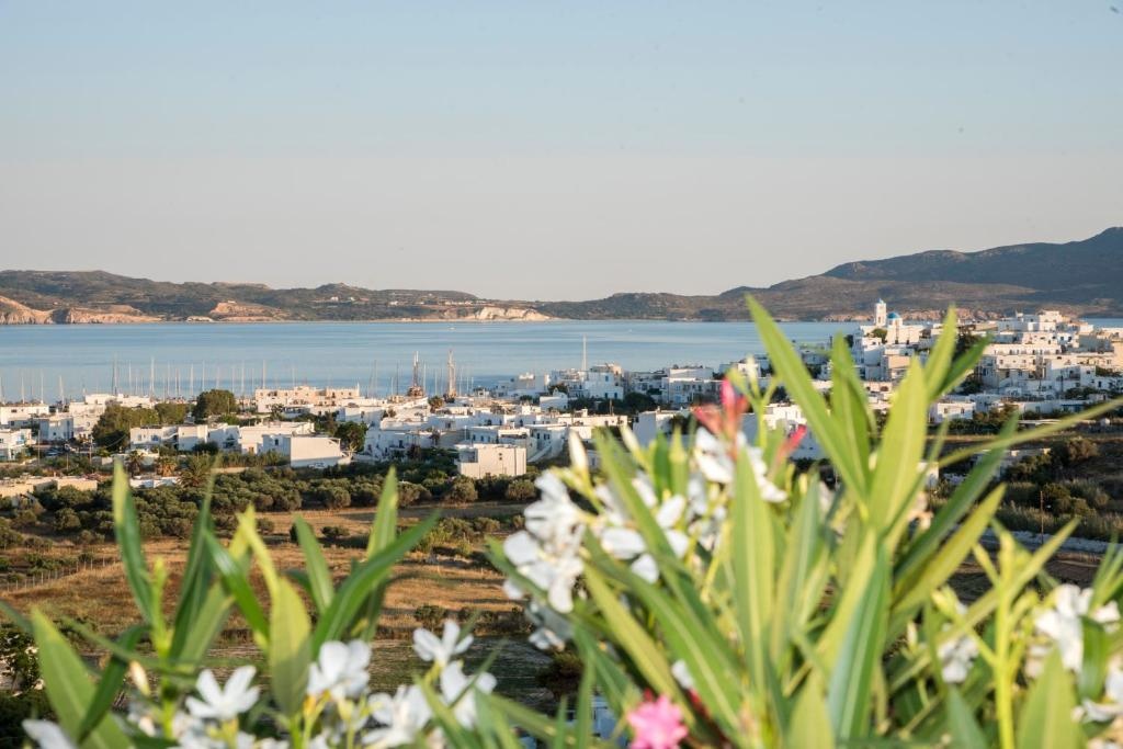 Beach & Waterfront