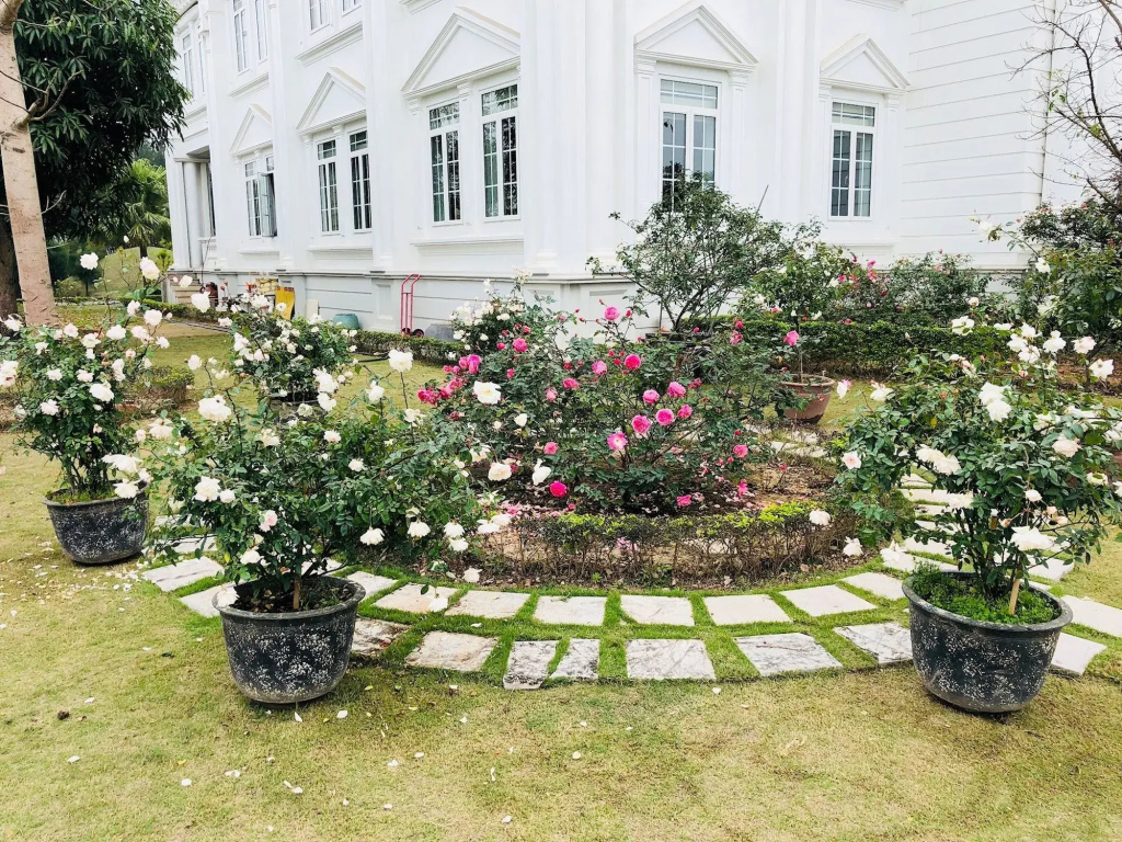 Anh Duong Hotel and Spa