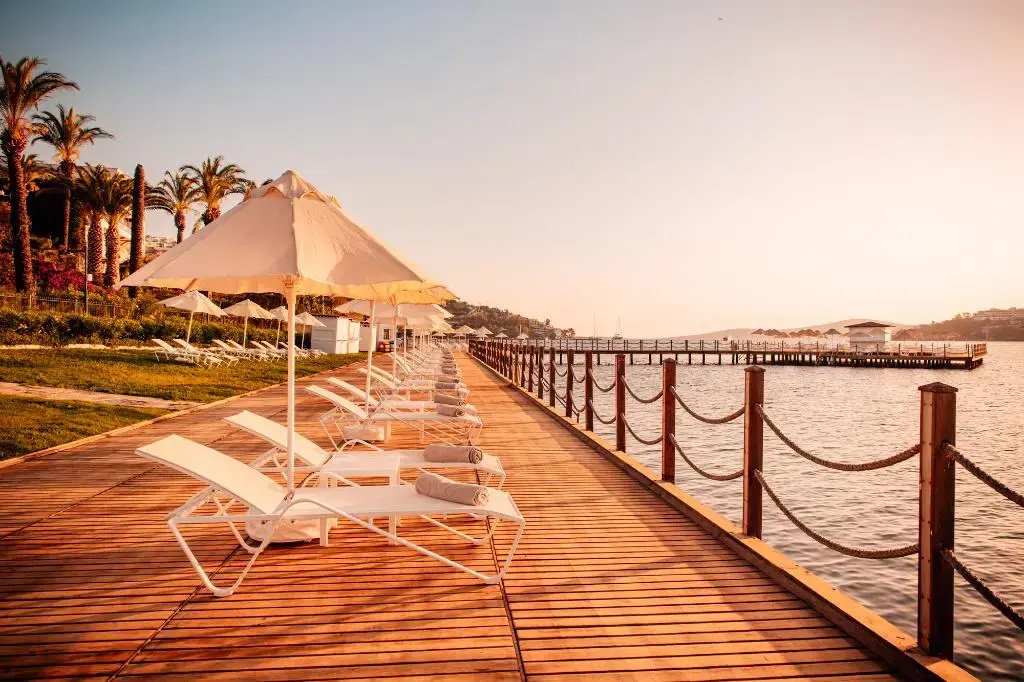 Beach & Waterfront