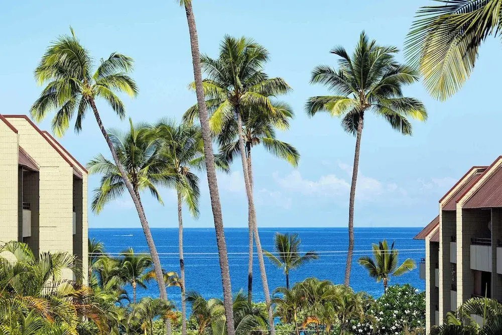 Plumeria Hale Enjoy On-site Amenities Galore!