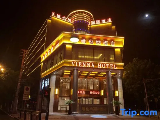 Vienna Hotel - фото 2