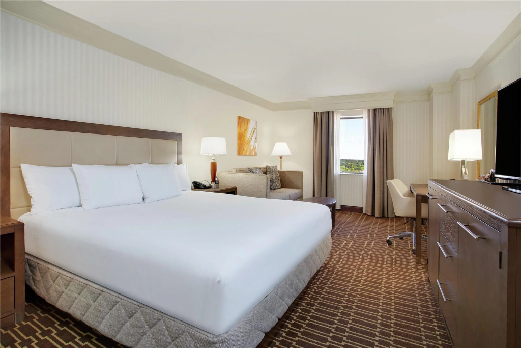 Standard Double room with city view (full double bed)