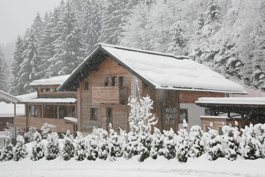 Wohlfhlappartements Der Wildbachhof