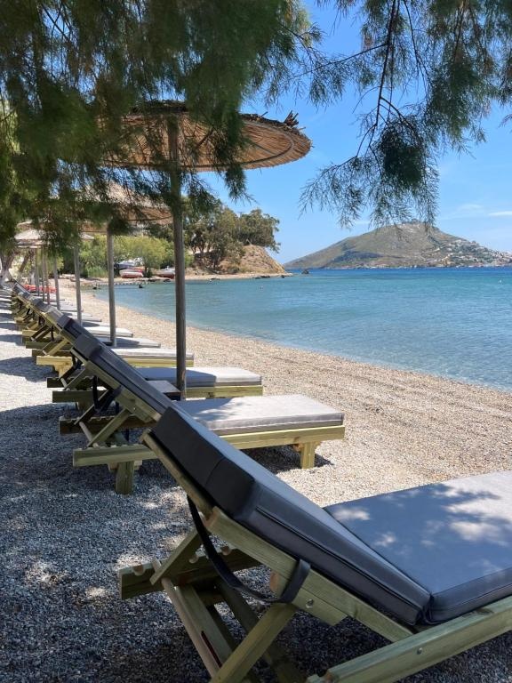 Beach & Waterfront