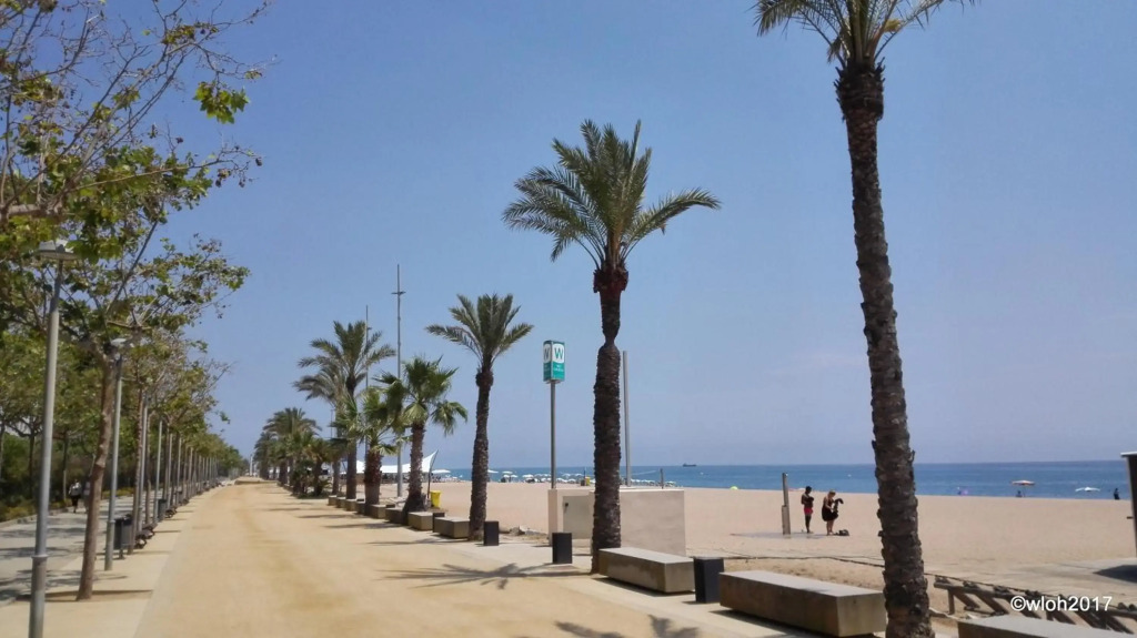 Hotel Oasis Park Splash photo 30