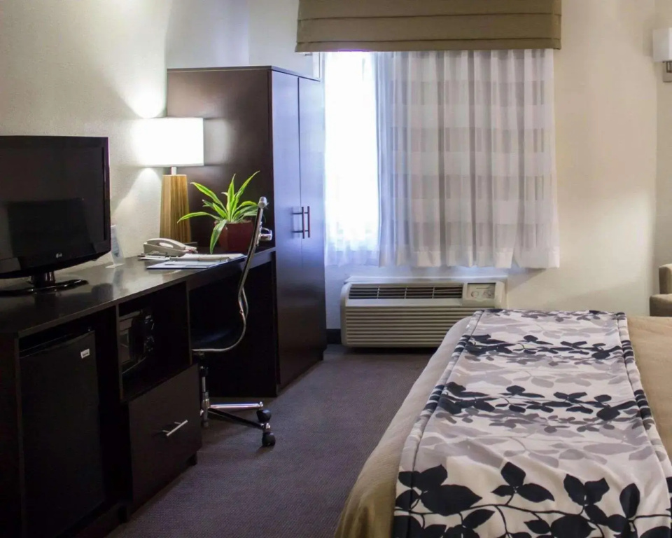 Hotel photo 50