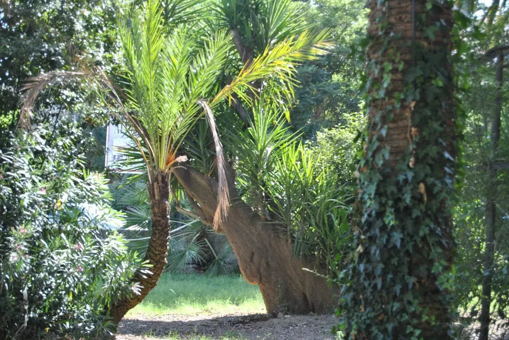 B&B Villa Fiocchi - фото 17
