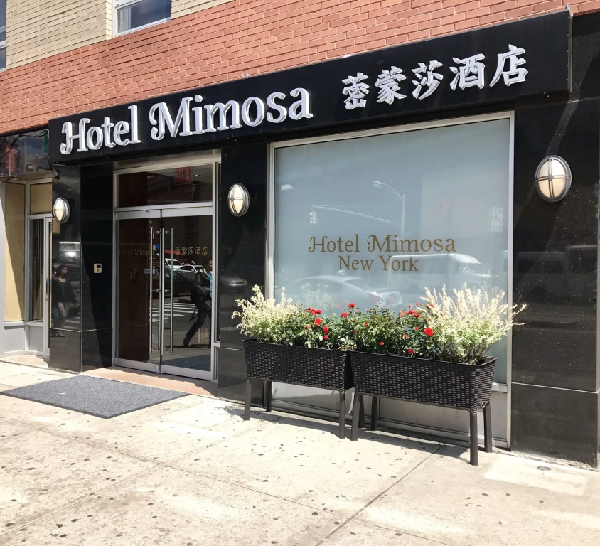 Hotel Mimosa — фото