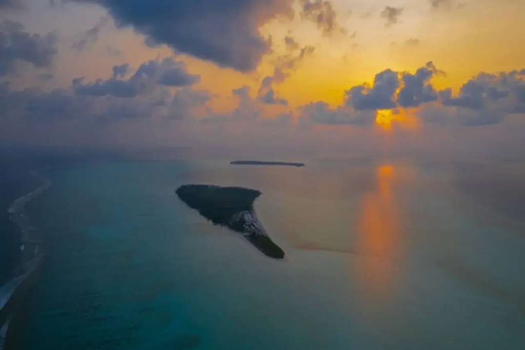 Coral Pearl, Lakshadweep - IHCL SeleQtions — фото 5