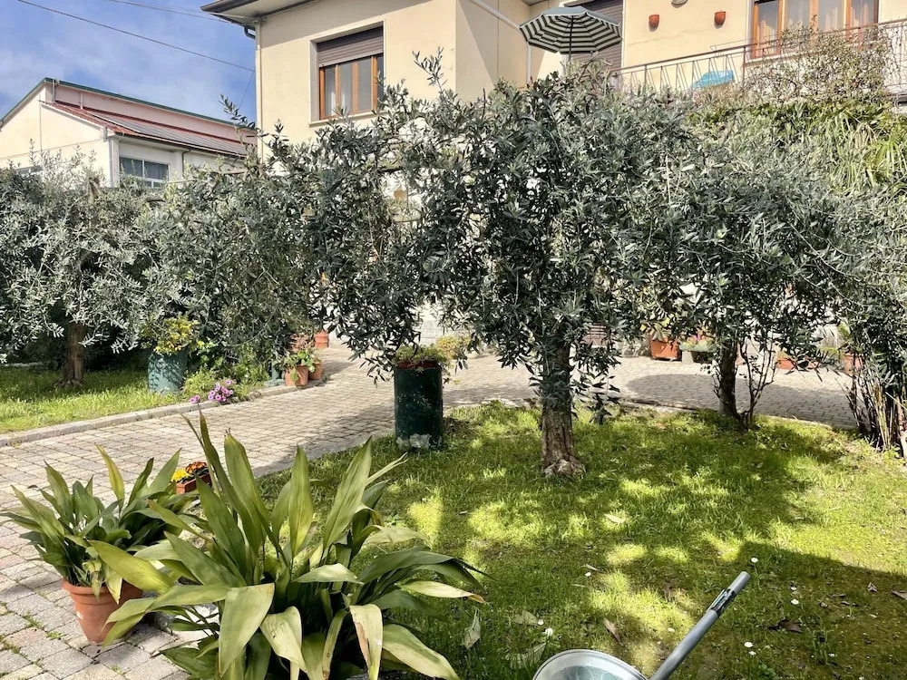 Casa La Palma in San Giuliano Terme