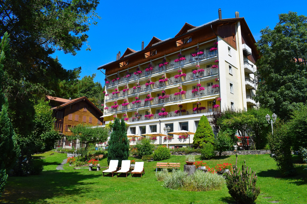 Hotel Wengener Hof - Général