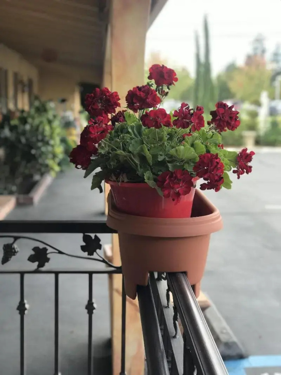 Hotel photo 30