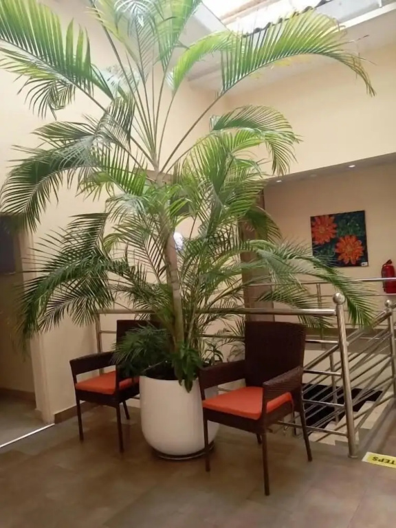 Hotel photo 46