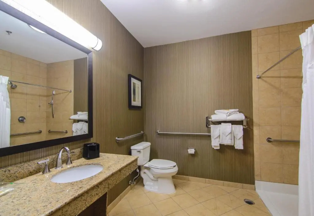 Holiday Inn Arlington NE-Rangers Ballpark by IHG - Chambres