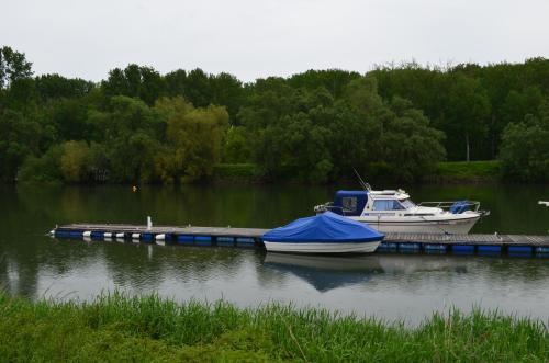 Image 14