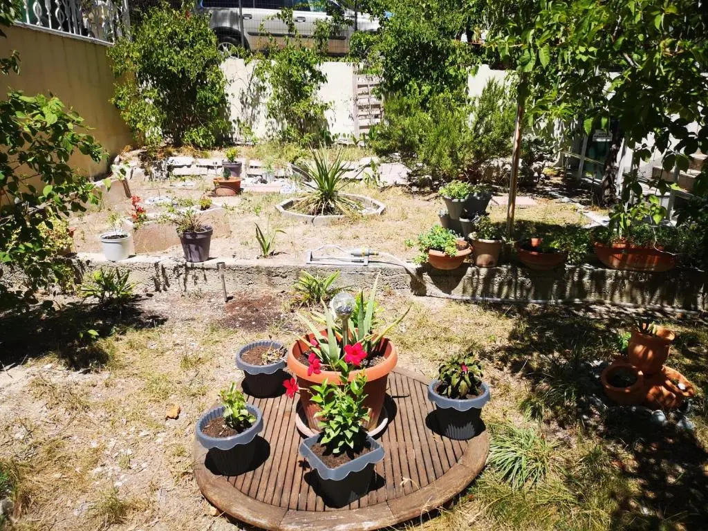 Duplex Studio with balcony