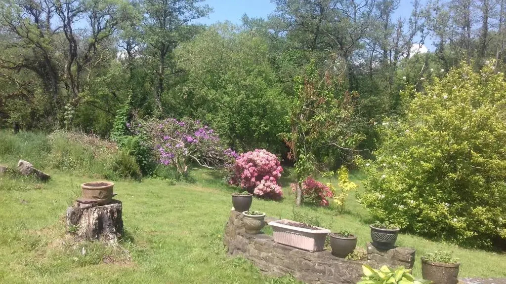 Hills Farm B&B Laugharne