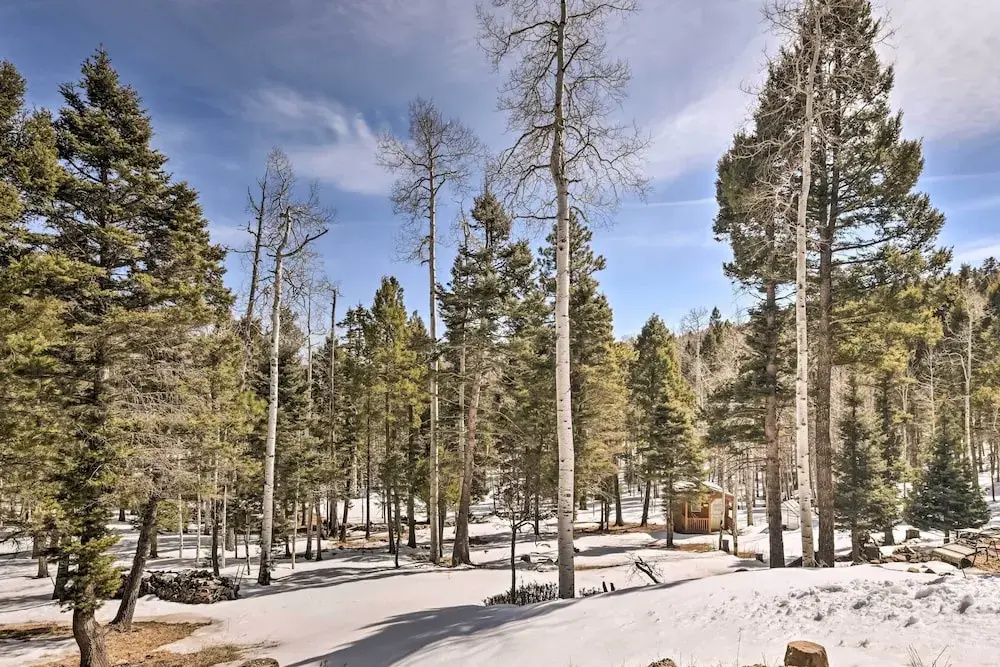 Expansive Angel Fire Retreat: 1 Mi to Fishing!