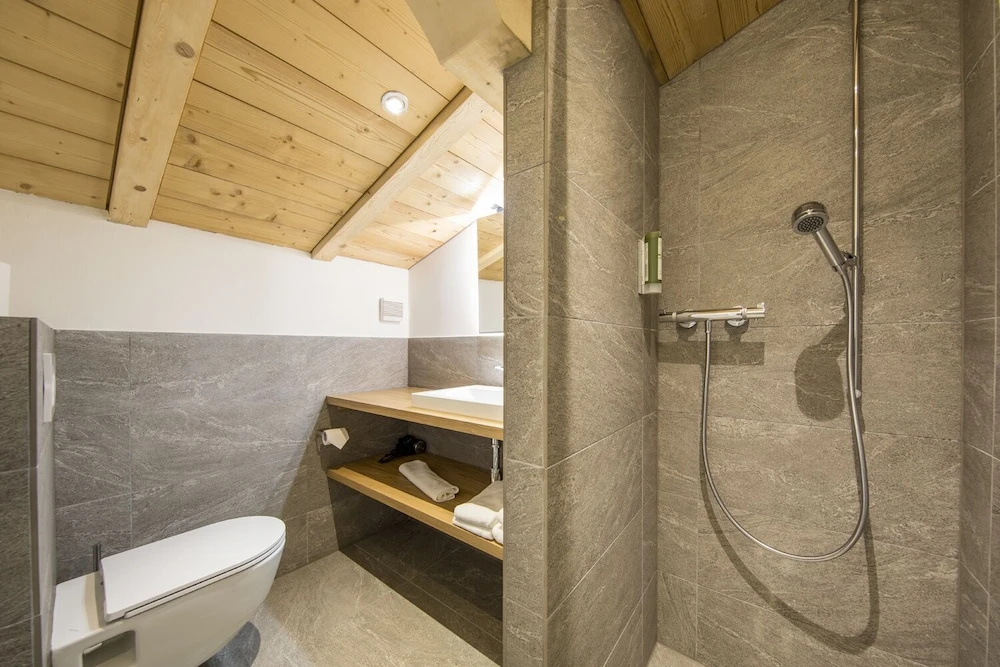 Economy Double room with mountain view (full double bed)