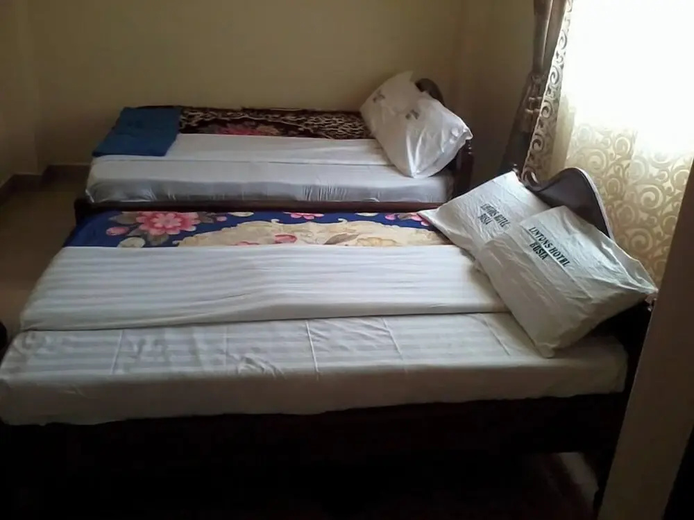 Deluxe Double room with city view (twin beds)