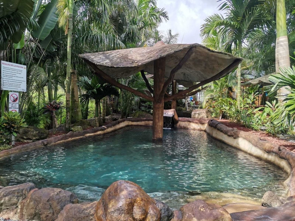 Hotel Palmera Real Hot Springs