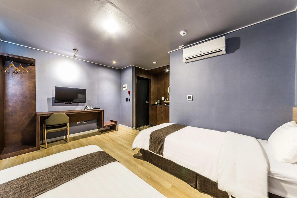 Standard Double room with city view (twin beds)