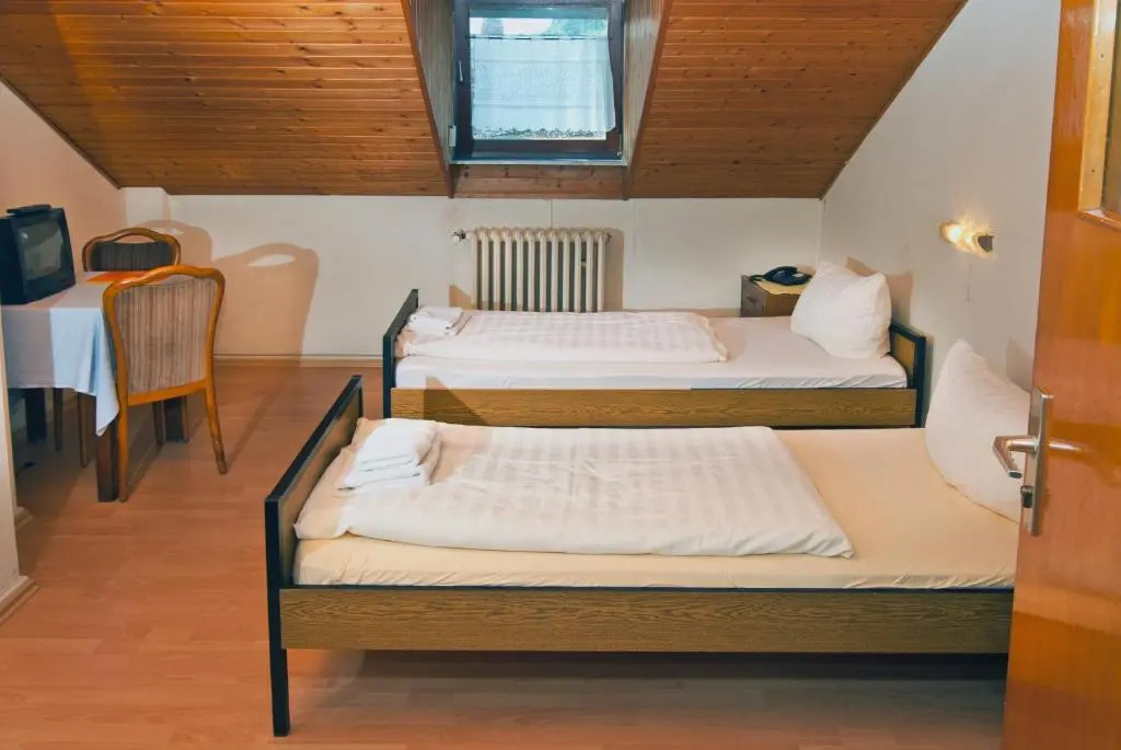 Standard Double room (twin beds)