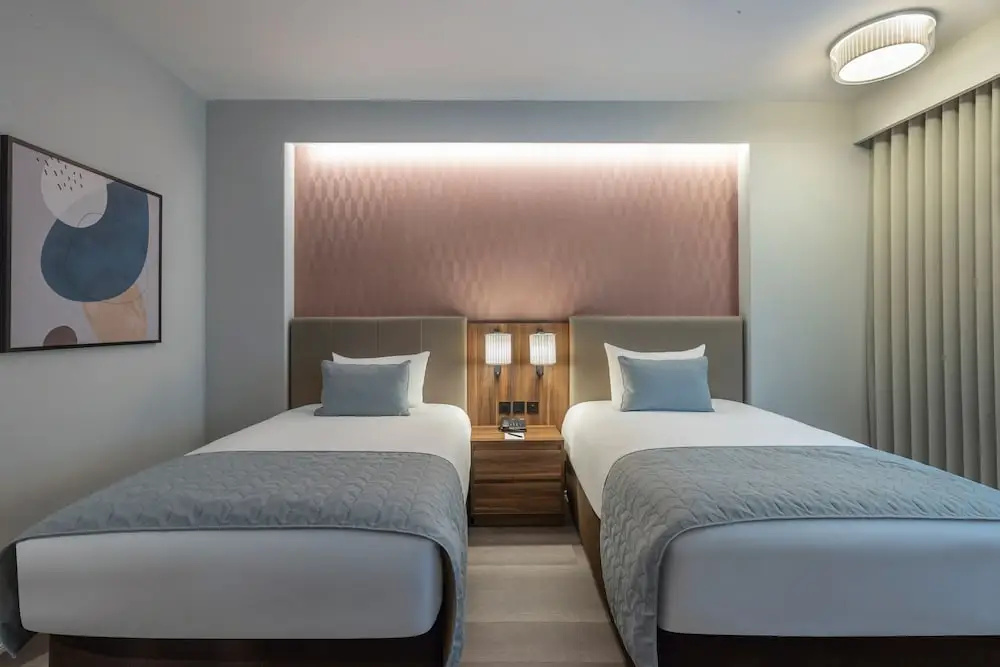 Deluxe Superior Double room (twin beds)