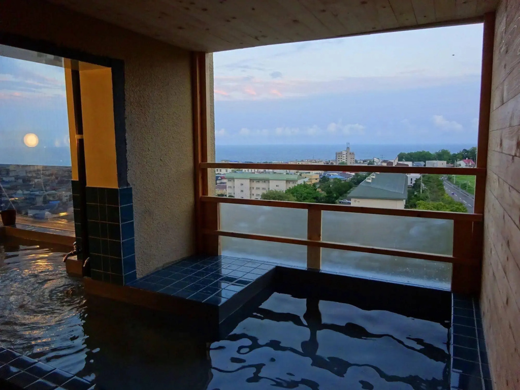 Hotel Hakodateyama - Général