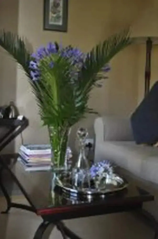 Plumbago Guest House - фото 5