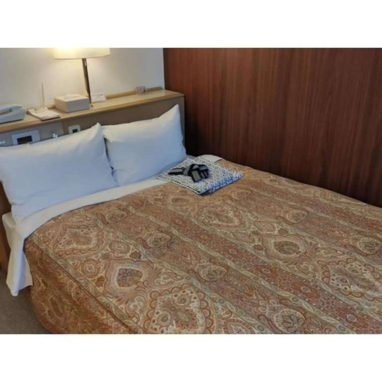 Central Hotel Toride — 4